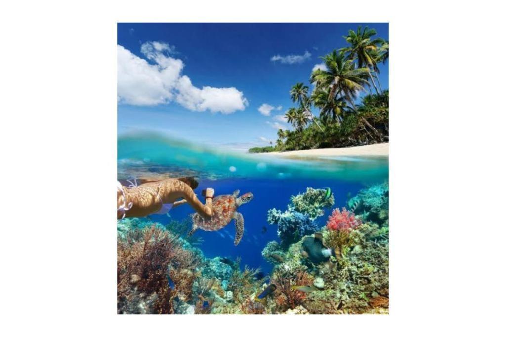 Bleu Verde, The Secret Garden - Turtle Point Beach Gili Trawangan Buitenkant foto