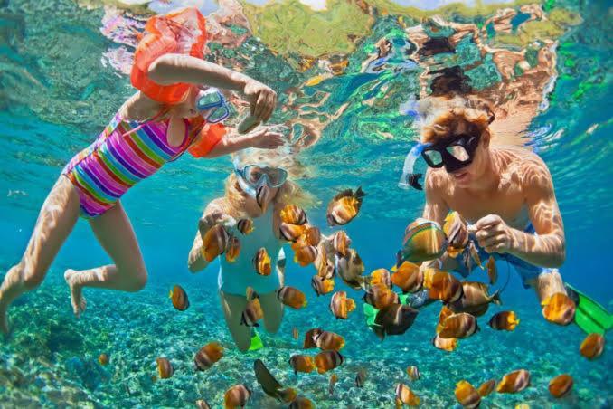 Bleu Verde, The Secret Garden - Turtle Point Beach Gili Trawangan Buitenkant foto